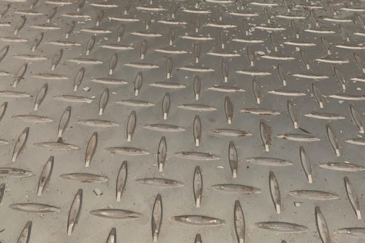 chapa antideslizante 1 scaled owydk7nicdcr1oqrfcal5dgrno4qsxoys703xqvl6w